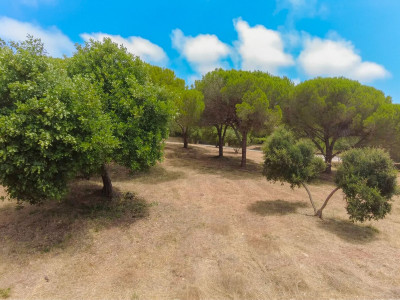 Residential Plot in Sotogrande Alto - Image 4