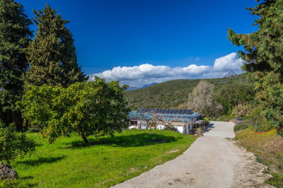 6 Bedroom Detached Villa in Casares - Image 4