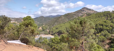 Land in Benahavís - Image 3