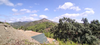 Land in Benahavís - Image 4