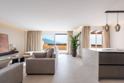2 Bedroom Penthouse in Atalaya - Image 4
