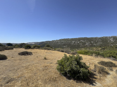 Land in Casares - Image 4