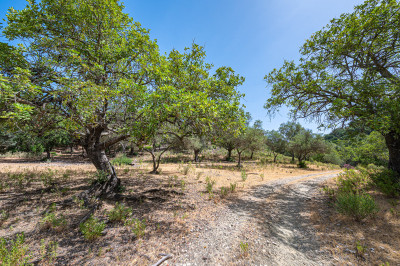 Land in La Zagaleta - Image 5