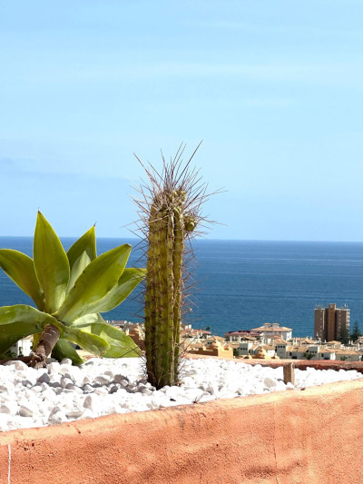 3 Bedroom Penthouse in La Duquesa
