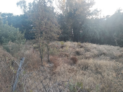 Residential Plot in La Quinta - Image 5