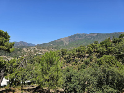 Land in La Zagaleta - Image 2