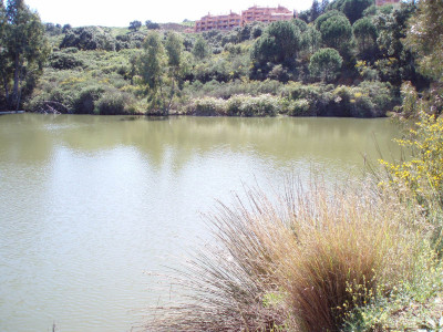 Land in Mijas - Image 2
