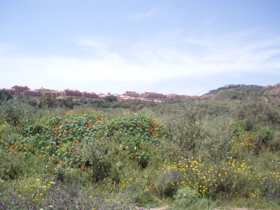 Land in Mijas - Image 3