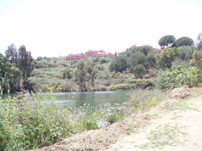 Land in Mijas - Image 4