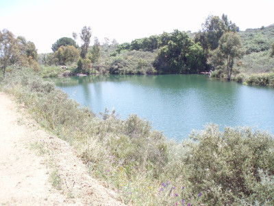 Land in Mijas - Image 5