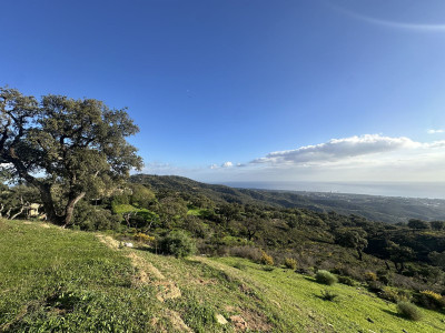 Land in La Mairena - Image 1
