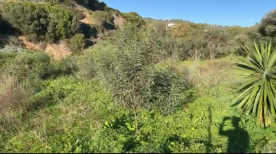 Land in Elviria - Image 3