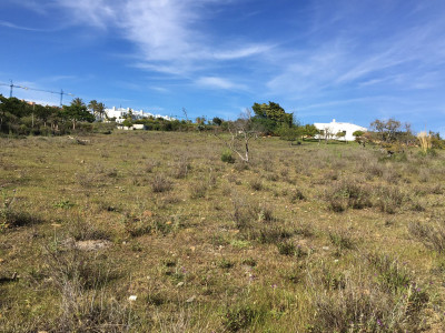 Land in Cancelada - Image 1