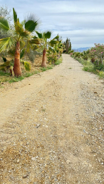 3 Bedroom Finca - Cortijo in Marbella - Image 3