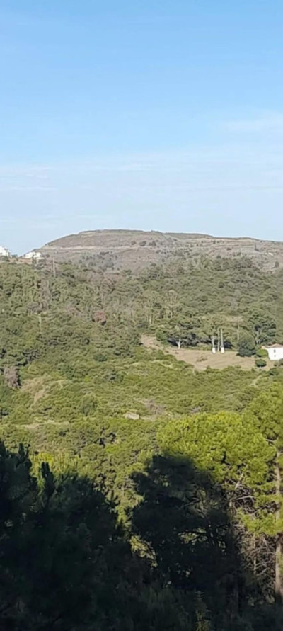 Land in Selwo - Image 4