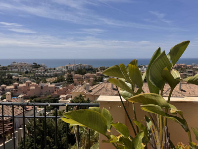 2 Bedroom Penthouse in Riviera del Sol