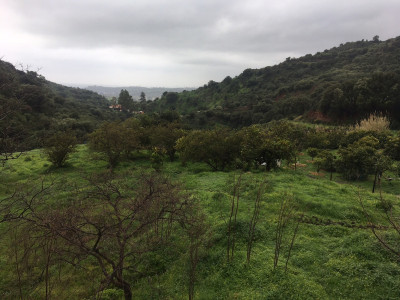Land in Estepona