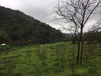 Land in Estepona - Image 3