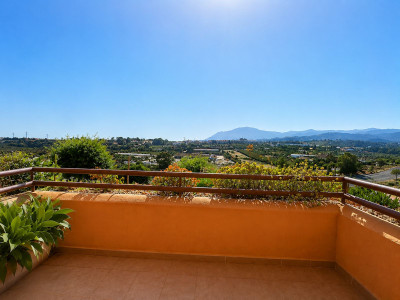 2 Bedroom Ground Floor Apartment in Cancelada - Image 3