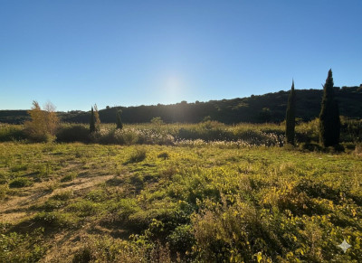 Residential Plot in Casares Playa - Image 4