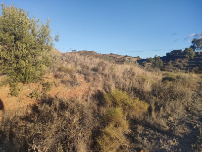 Land in Mijas - Image 3