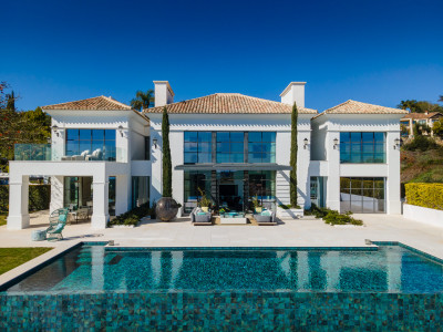 Stunning Villa - Image 1