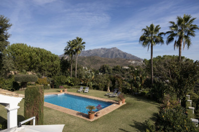 7 Bedroom Detached Villa in El Madroñal - Image 3