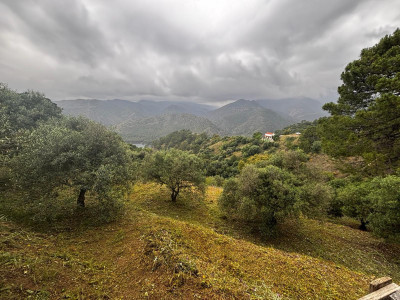 Land in Istán - Image 1