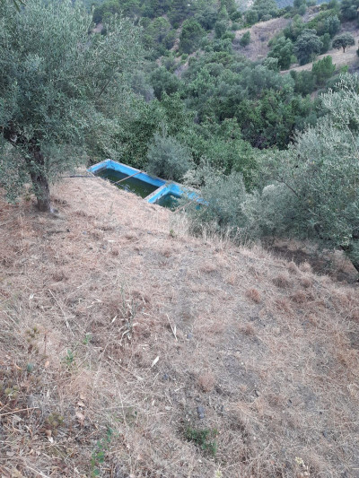Land in Istán - Image 2