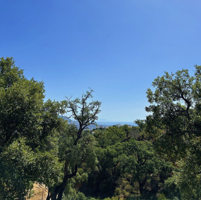Residential Plot in La Mairena - Image 5