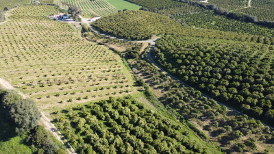 Land in Casares - Image 5