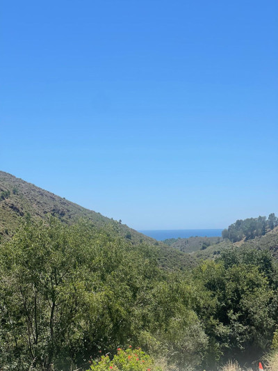 Land in Ojén - Image 1