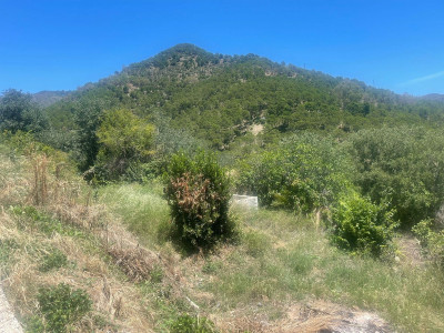 Land in Ojén - Image 3