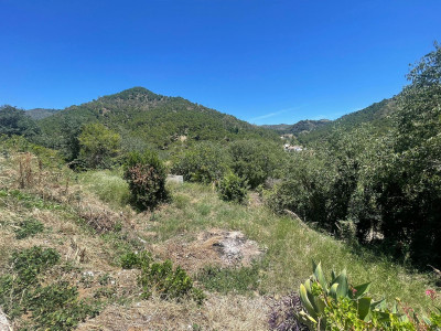 Land in Ojén - Image 4