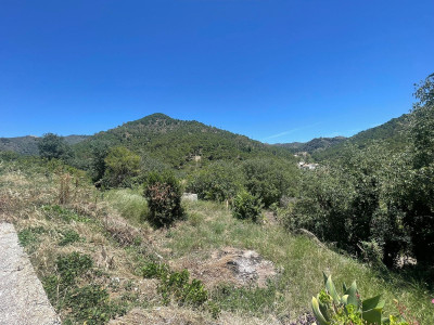 Land in Ojén - Image 5