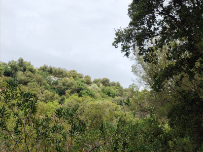 Land in Istán - Image 5