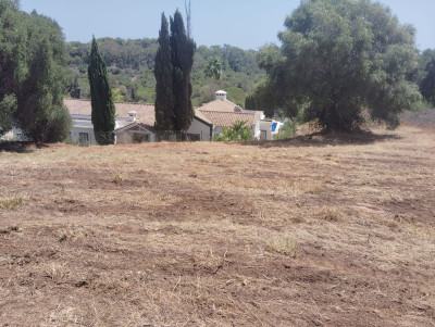 Residential Plot in Sotogrande Alto - Image 3