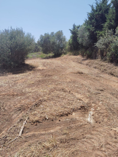 Residential Plot in Sotogrande Alto - Image 4