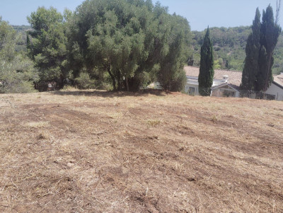 Residential Plot in Sotogrande Alto - Image 5