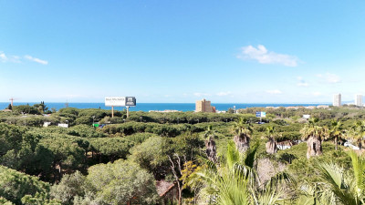 Residential Plot in Hacienda Las Chapas - Image 1