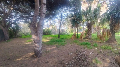 Residential Plot in Hacienda Las Chapas - Image 3