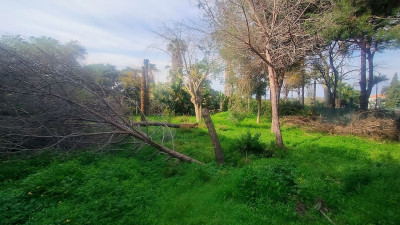 Residential Plot in Hacienda Las Chapas - Image 5