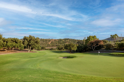 Residential Plot in San Roque Club - Image 2