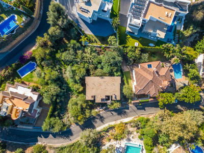 Land in El Rosario - Image 2