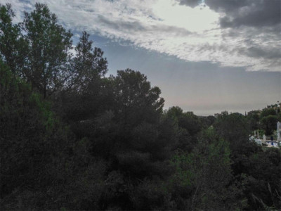 Residential Plot in Elviria - Image 4