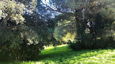 Residential Plot in Sotogrande Alto - Image 2