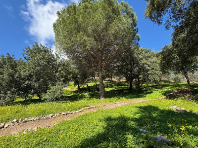 Land in Casares