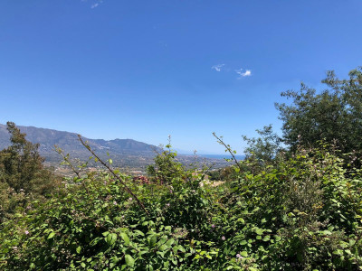 Residential Plot in La Mairena - Image 4