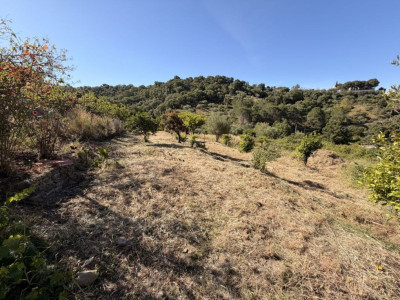 1 Bedroom Finca - Cortijo in Altos de los Monteros - Image 1