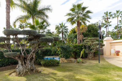 2 Bedroom Ground Floor Apartment in Puerto Banús - Image 4